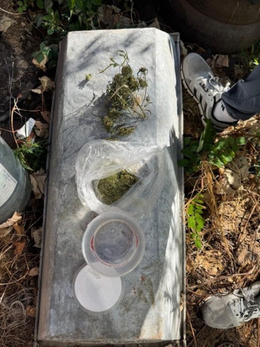 Выращивал гадость: таганрожца поймали за наркотики