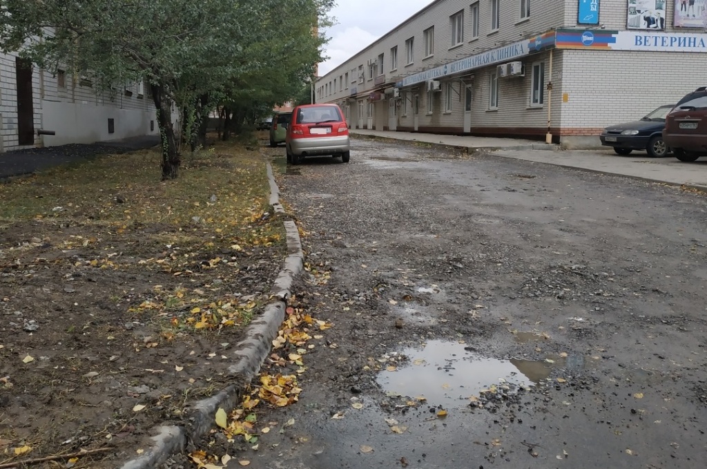 дорожка.jpg