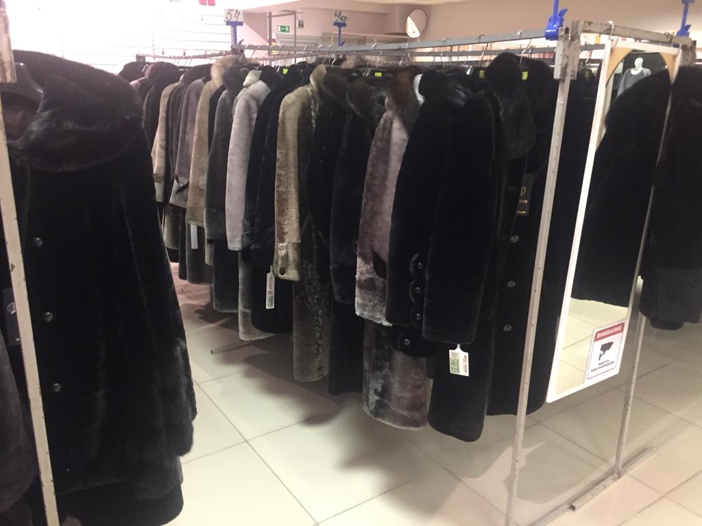 WhatsApp Image 2019-11-05 at 11.58.27 PM.jpeg