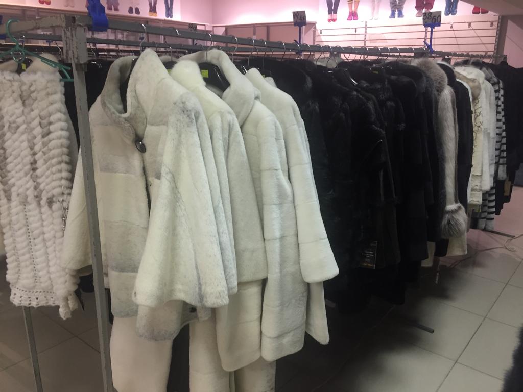 WhatsApp Image 2019-11-05 at 11.58.28 PM(2).jpeg