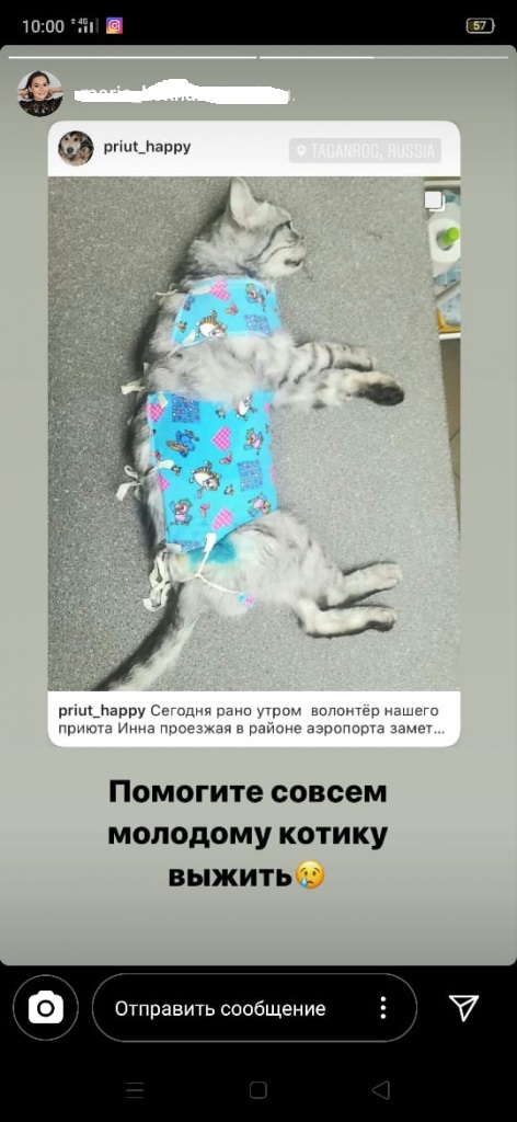 content_img (1).jpeg